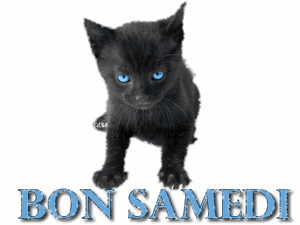 Gif animé Bon samedi chat